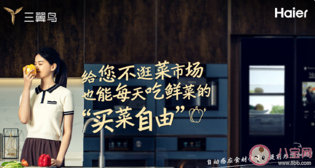 年輕人應該如何解決家務難題 年輕人不愛做家務的原因是什么 年輕人應該如何解決家務難題 年輕人不愛做家務的原因是什么