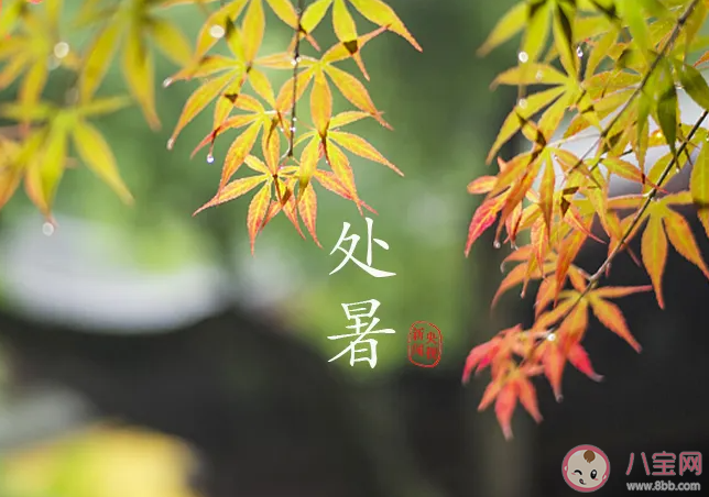 處暑真的會出暑嗎 處暑三候怎么理解