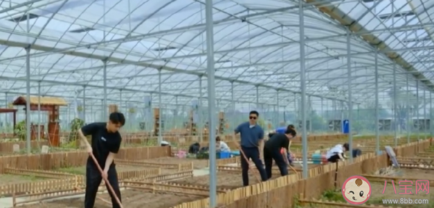 團(tuán)建比賽中你會(huì)讓著領(lǐng)導(dǎo)嗎 要不要在團(tuán)建比賽中讓領(lǐng)導(dǎo) 團(tuán)建比賽中你會(huì)讓著領(lǐng)導(dǎo)嗎 要不要在團(tuán)建比賽中讓領(lǐng)導(dǎo)