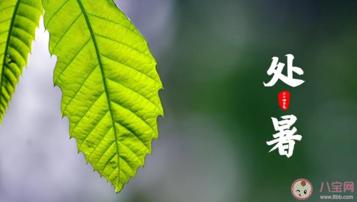 2022處暑節氣圖片送祝福的說說句子 2022處暑節氣問候語說說大全