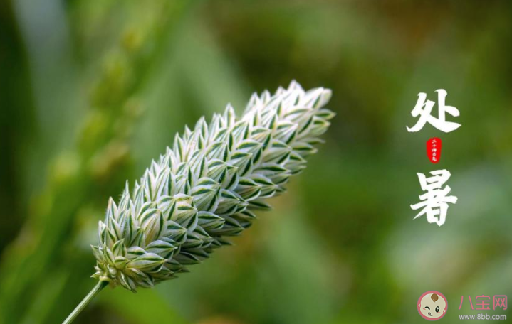 2022處暑節氣圖片送祝福的說說句子 2022處暑節氣問候語說說大全