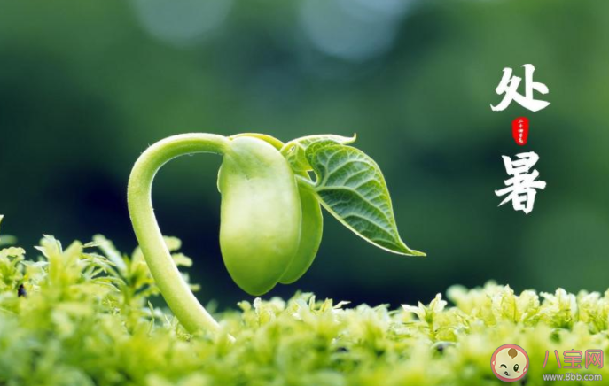 2022處暑節氣圖片送祝福的說說句子 2022處暑節氣問候語說說大全