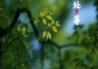 2022今日處暑節氣早安心語文案說說 2022今天是處暑的早安語錄