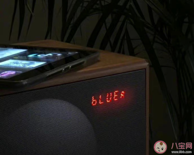 談戀愛必須要公開嗎 戀愛不公開可以嗎 談戀愛必須要公開嗎 戀愛不公開可以嗎