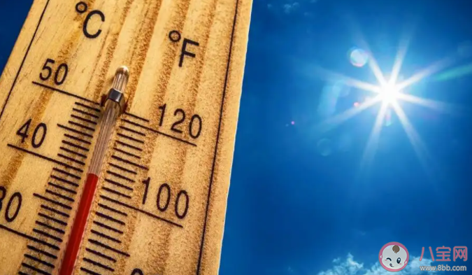 持續熱浪正常嗎 今年會是最熱的一年嗎 持續熱浪正常嗎 今年會是最熱的一年嗎