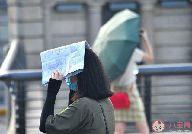 持續熱浪正常嗎 今年會是最熱的一年嗎 持續熱浪正常嗎 今年會是最熱的一年嗎