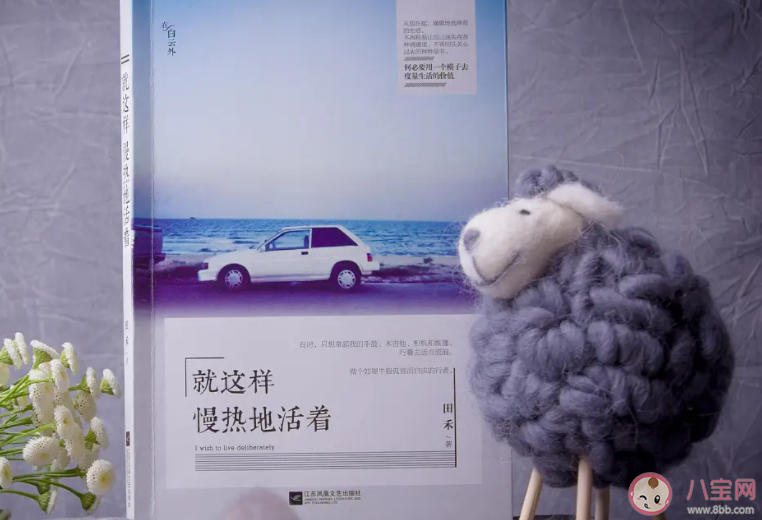 為什么慢熱的人大多數都單身 慢熱是單身的原因嗎 為什么慢熱的人大多數都單身 慢熱是單身的原因嗎