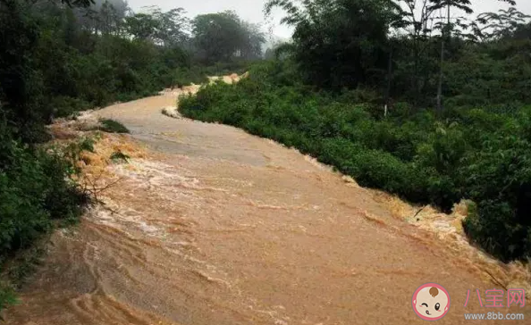 山洪來前有哪些預兆 哪些情況容易遭到山洪襲擊