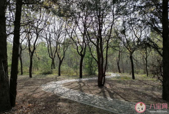 雨后泥土的清香來自于什么 螞蟻莊園8月17日正確答案 雨后泥土的清香來自于什么 螞蟻莊園8月17日正確答案