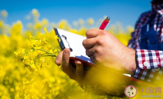 年輕人為何樂于返鄉置業 怎樣看待年輕人回鄉發展