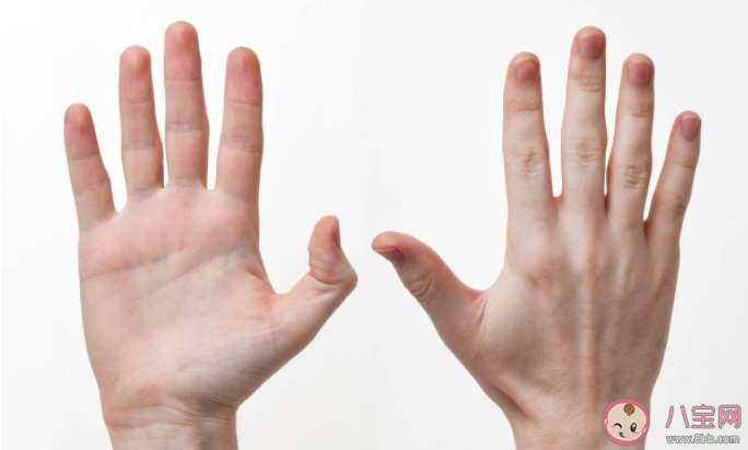 用右手吃飯左手寫字是左撇子嗎 為什么有人可以左右開弓