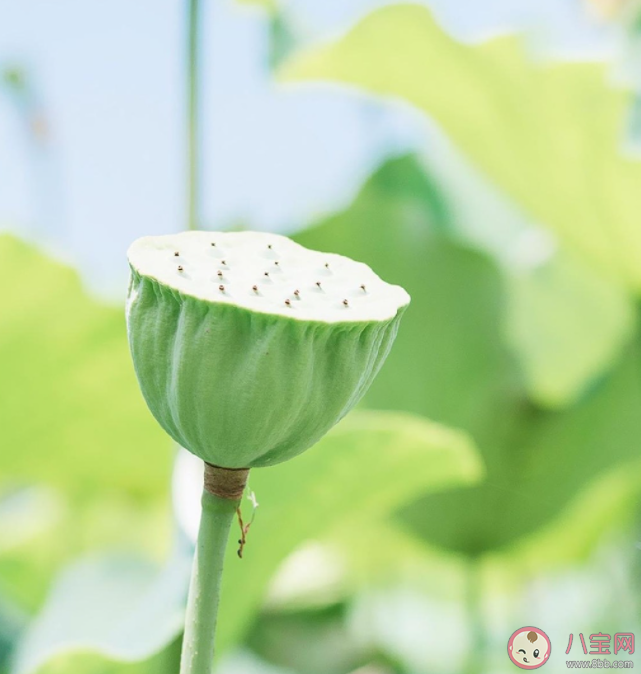 2022八月再見九月你好的圖片正能量說說 2022八月再見迎接九月的心情句子 2022八月再見九月你好的圖片正能量說說 2022八月再見迎接九月的心情句子