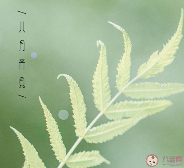 2022八月再見九月你好的圖片正能量說說 2022八月再見迎接九月的心情句子 2022八月再見九月你好的圖片正能量說說 2022八月再見迎接九月的心情句子