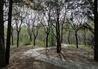 雨后泥土的清香來自于什么 螞蟻莊園8月17日正確答案