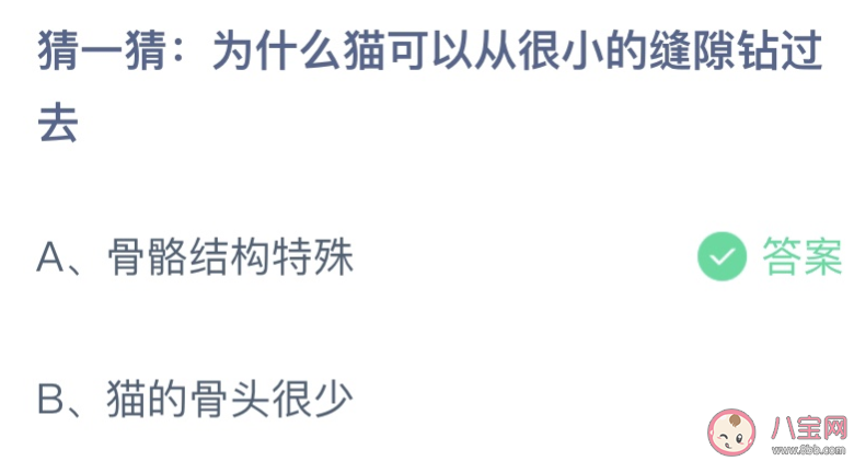 為什么貓可以從很小的縫隙鉆過去 螞蟻莊園8月18日答案介紹