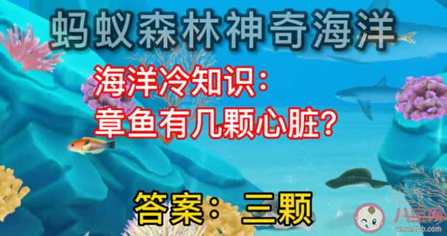 章魚有幾顆心臟 螞蟻森林8月17日答案