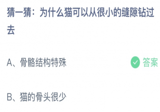 為什么貓可以從很小的縫隙鉆過去 螞蟻莊園8月18日答案介紹