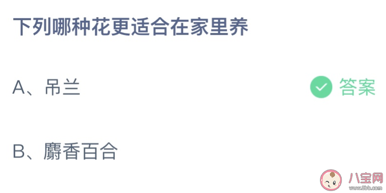 下列哪種花更適合在家里養(yǎng) 螞蟻莊園8月19日答案最新