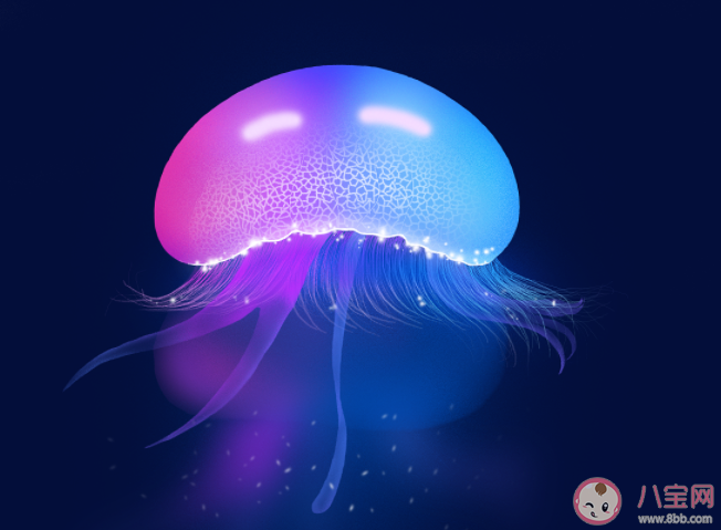 水母靠什么來感知外部世界 螞蟻森林8月18日答案