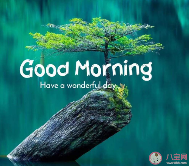 喜歡和合適真的很難選擇嗎 喜歡和合適哪個重要