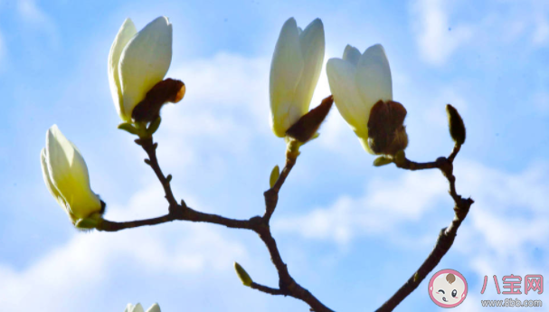 如何評價(jià)當(dāng)前教育資源分配 怎樣改善教育資源分配不均