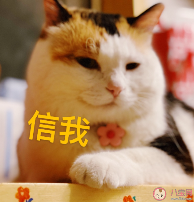 在高中如何處理人際關系 學生時代該如何與人交往