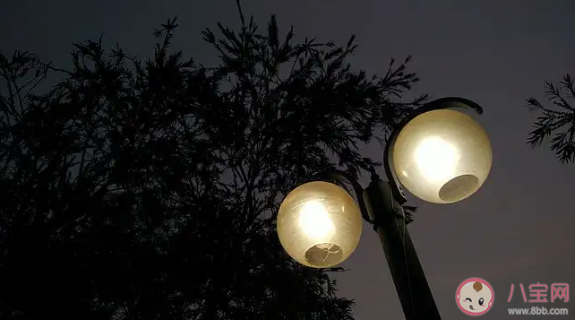 為什么不建議在晚上做決定 睡前不適宜做哪些事情