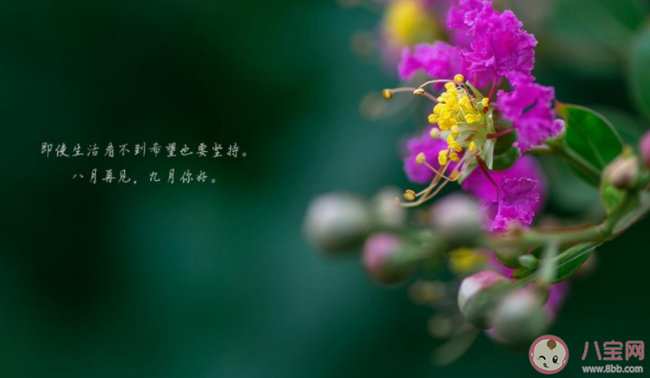 2022想和八月說再見的朋友圈說說 2022八月再見的心情語錄句子