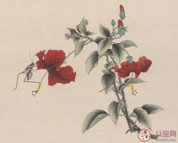 沒有蚊香古人怎么驅蚊 古人是如何吐槽蚊子的