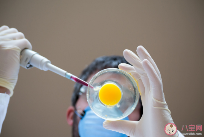 做試管嬰兒會讓女性老得更快嗎 試管嬰兒適應癥和禁忌癥介紹