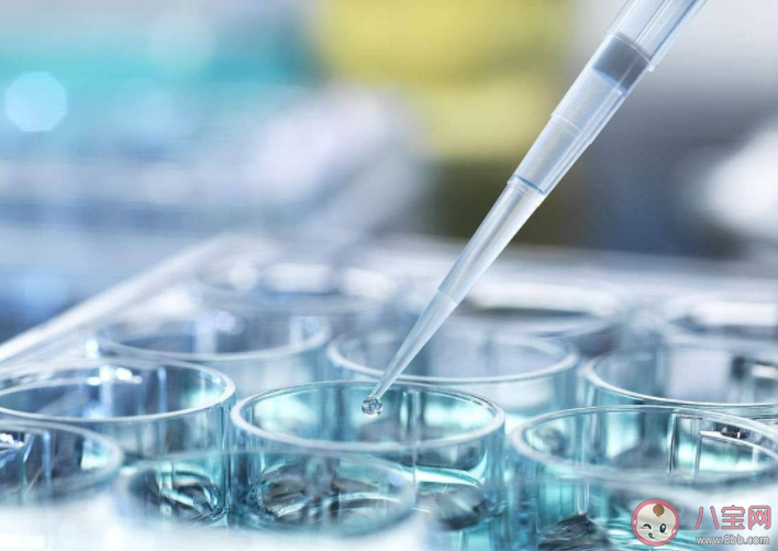 做試管嬰兒會讓女性老得更快嗎 試管嬰兒適應癥和禁忌癥介紹