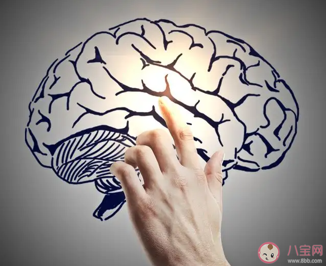 為什么動腦子會讓你感覺到疲憊 如何判斷自己是否處于疲勞狀態