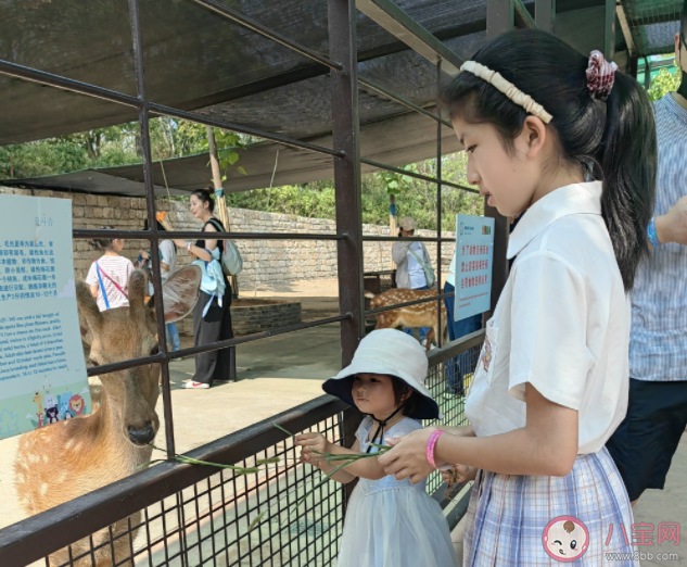 開學(xué)前如何幫孩子收心 孩子開學(xué)前要做哪些準(zhǔn)備