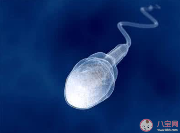 哪些人為因素給精子帶來傷害 正常的精液是怎樣的