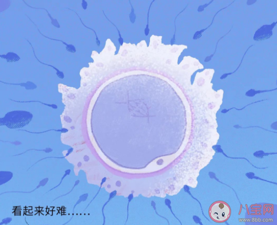 哪些人為因素給精子帶來傷害 正常的精液是怎樣的