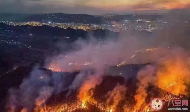 什么是以火滅火 森林火災如何預防和避險