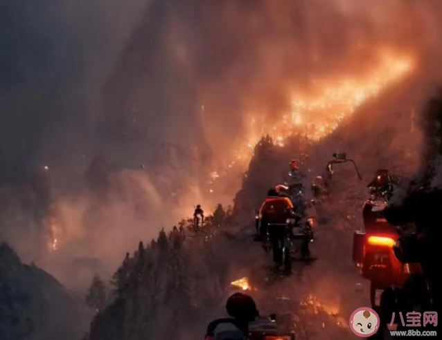 什么是以火滅火 森林火災如何預防和避險