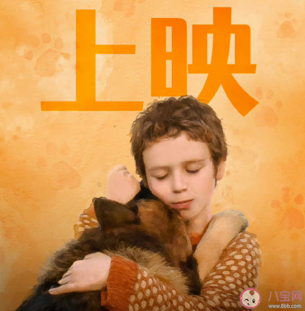 電影《忠犬帕爾瑪》的原型是誰 《忠犬帕爾瑪》是真實(shí)故事改編的嗎