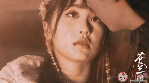 如何理解小蘭花的自戕選擇 小蘭花為什么要自我犧牲