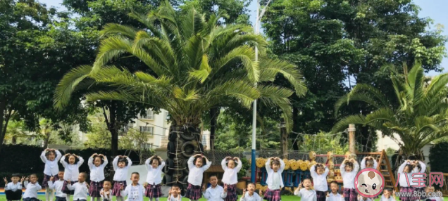 2022幼兒園秋季開學典禮活動報道美篇 2022幼兒園秋季開學典禮新聞稿 2022幼兒園秋季開學典禮活動報道美篇 2022幼兒園秋季開學典禮新聞稿