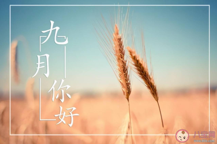 關于九月你好的朋友圈文案句子 九月你好的唯美說說