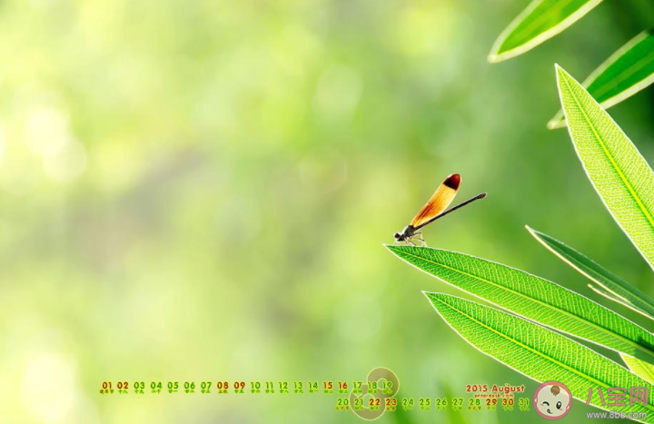 8月最后一天最新文案朋友圈說說 8月再見9月你好的心情句子