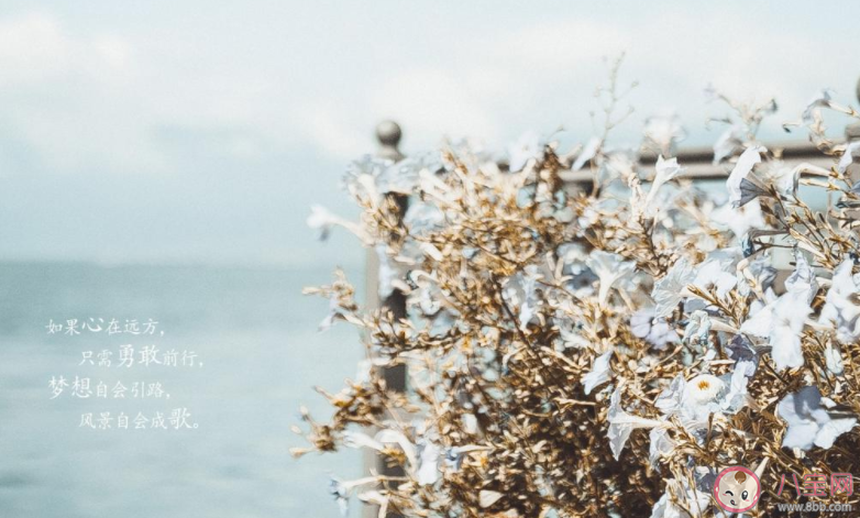 2022告別8月迎接9月的正能量文案大全 8月結束9月開始的一句話說說