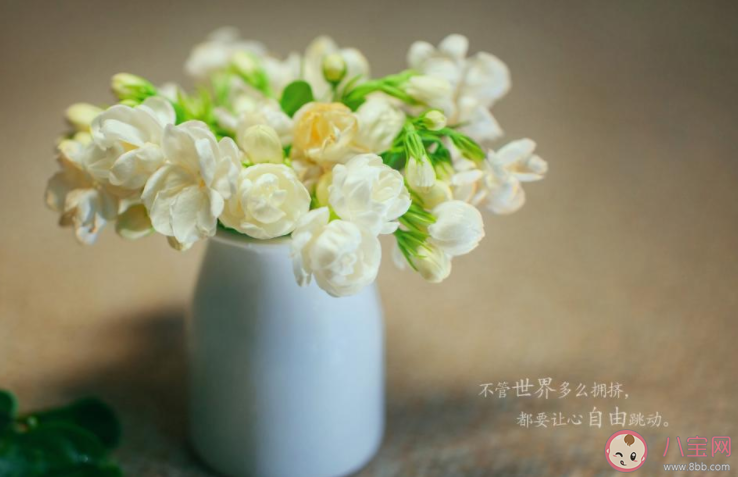 2022告別8月迎接9月的正能量文案大全 8月結束9月開始的一句話說說