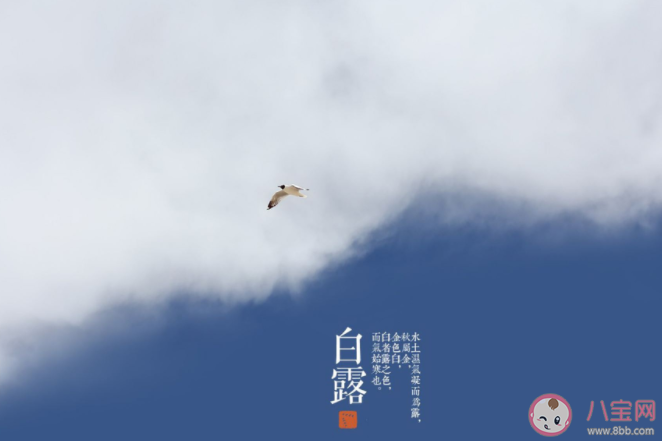 白露有三怕指的是什么 白露十樣白是什么意思