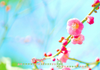 8月最后一天最新文案朋友圈說說 8月再見9月你好的心情句子