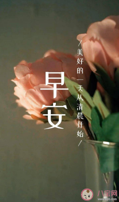 9月第一天朋友圈文案怎么發 9月第一天早安精選文案句子2022