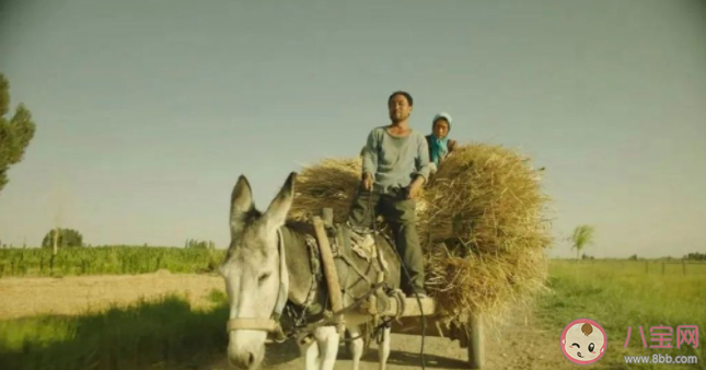 電影《隱入塵煙》觀后感800字作文 《隱入塵煙》觀后感三篇 電影《隱入塵煙》觀后感800字作文 《隱入塵煙》觀后感三篇