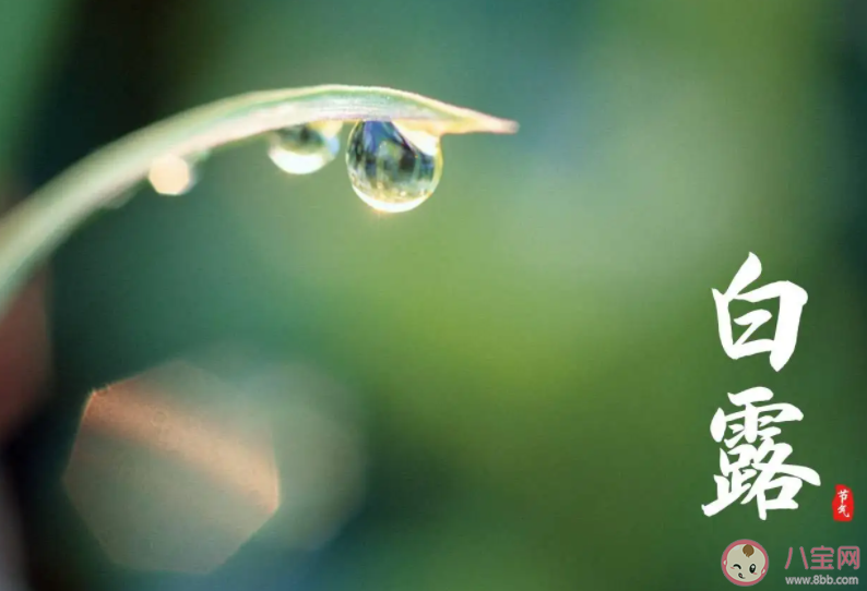 2022今日白露的朋友圈文案精選 今日白露發(fā)朋友圈說說句子