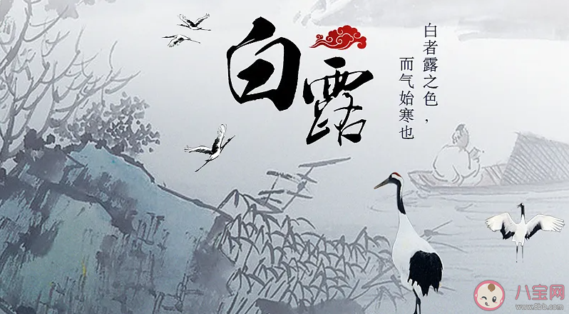 2022今日白露的朋友圈文案精選 今日白露發(fā)朋友圈說說句子